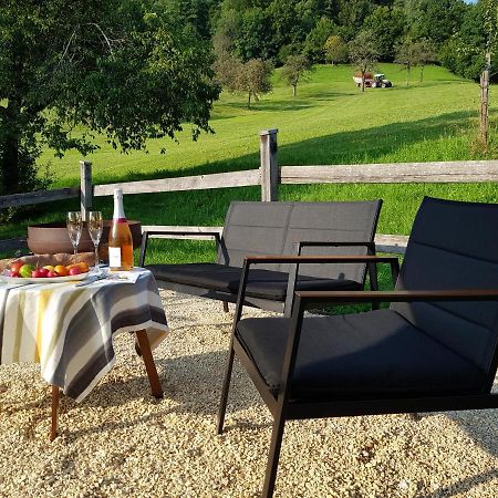 Business Apartment Schwarzach ภายนอก รูปภาพ