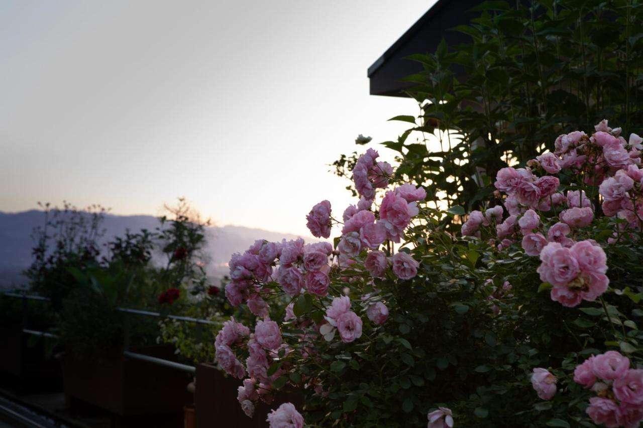 Business Apartment Schwarzach ภายนอก รูปภาพ