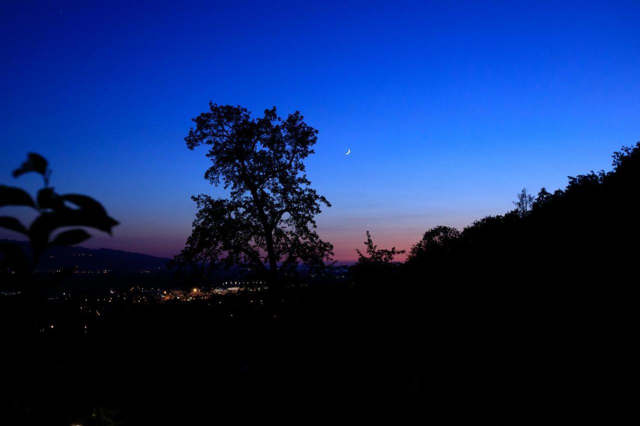 Business Apartment Schwarzach ภายนอก รูปภาพ