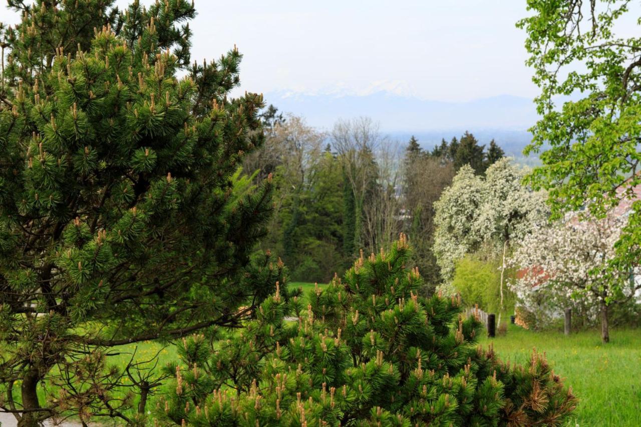 Business Apartment Schwarzach ภายนอก รูปภาพ